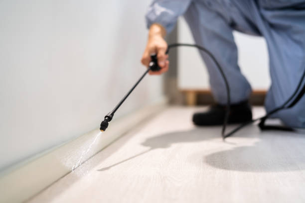 Trusted East Highland Park, VA Pest Control Experts