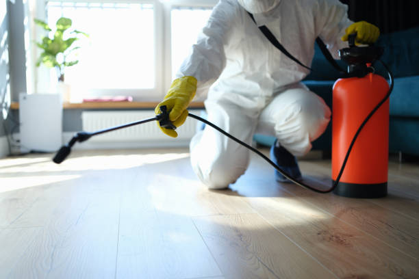 Best Pest Control Near Me in East Highland Park, VA