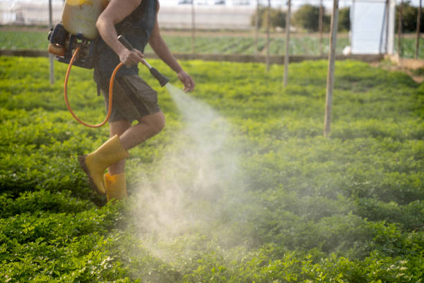 Pest Control Cost in East Highland Park, VA