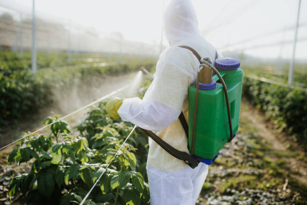 Best Commercial Pest Control Services  in East Highland Park, VA